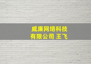 威廉网络科技有限公司 王飞